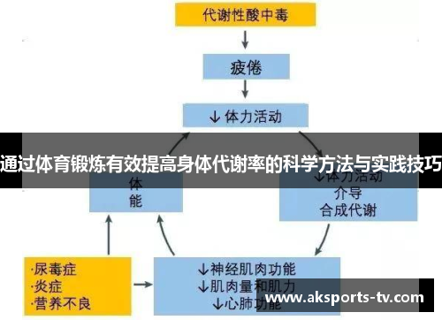 通过体育锻炼有效提高身体代谢率的科学方法与实践技巧